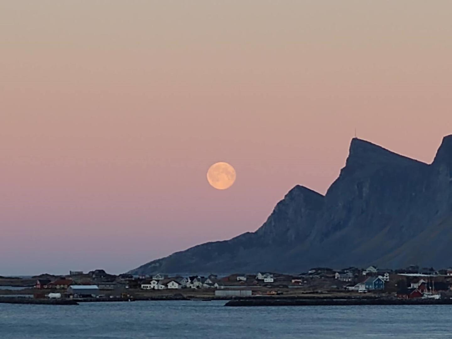Fredvang Farm House - Lofoten Екстериор снимка