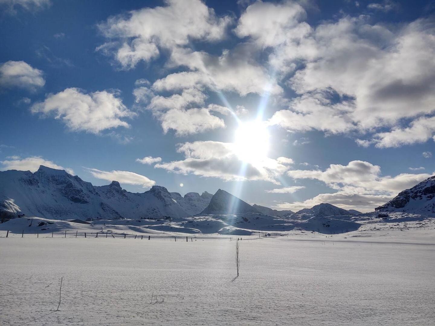 Fredvang Farm House - Lofoten Екстериор снимка