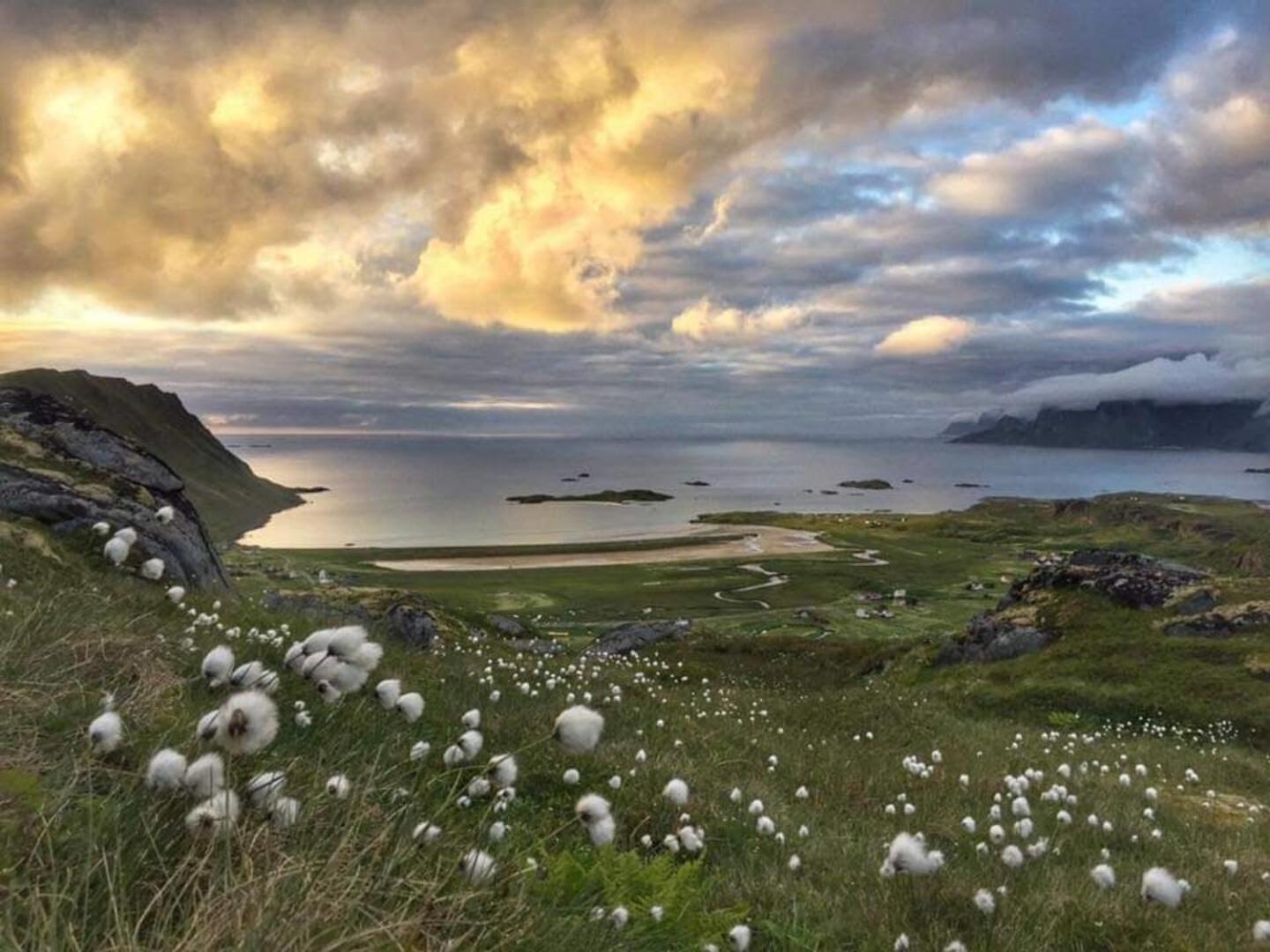 Fredvang Farm House - Lofoten Екстериор снимка